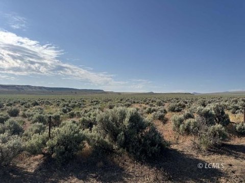 Silver Lake Land with BLM Access