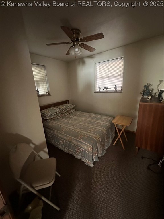 Picture 5
