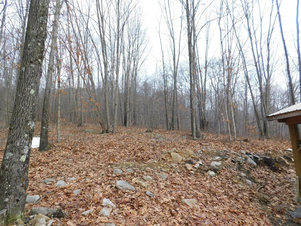 Picture 21