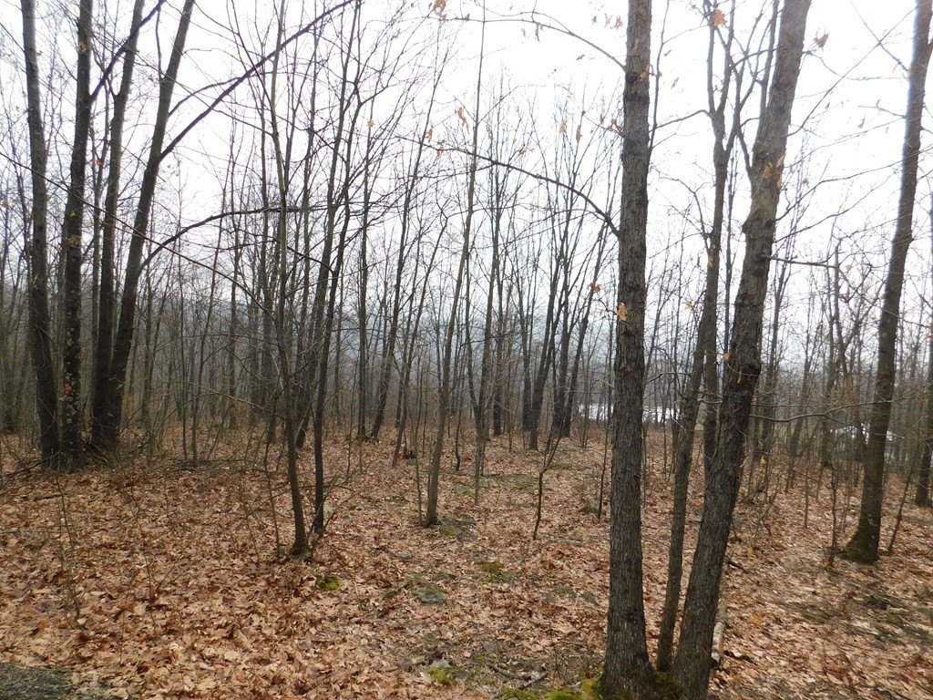 Picture 17