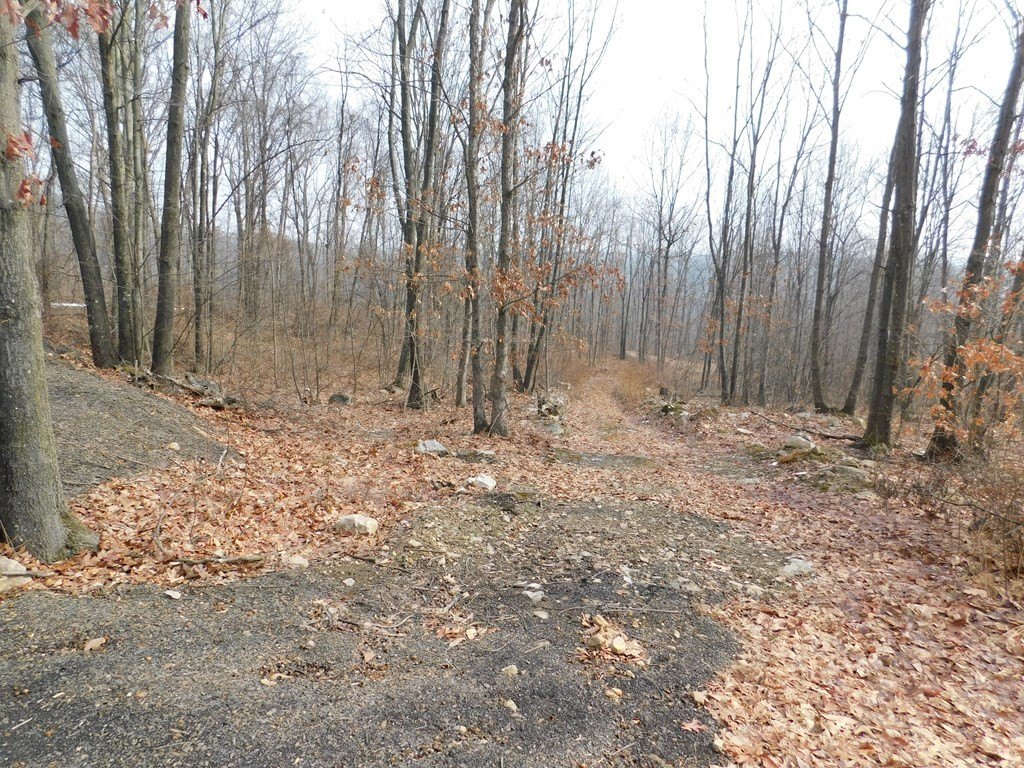 Picture 12