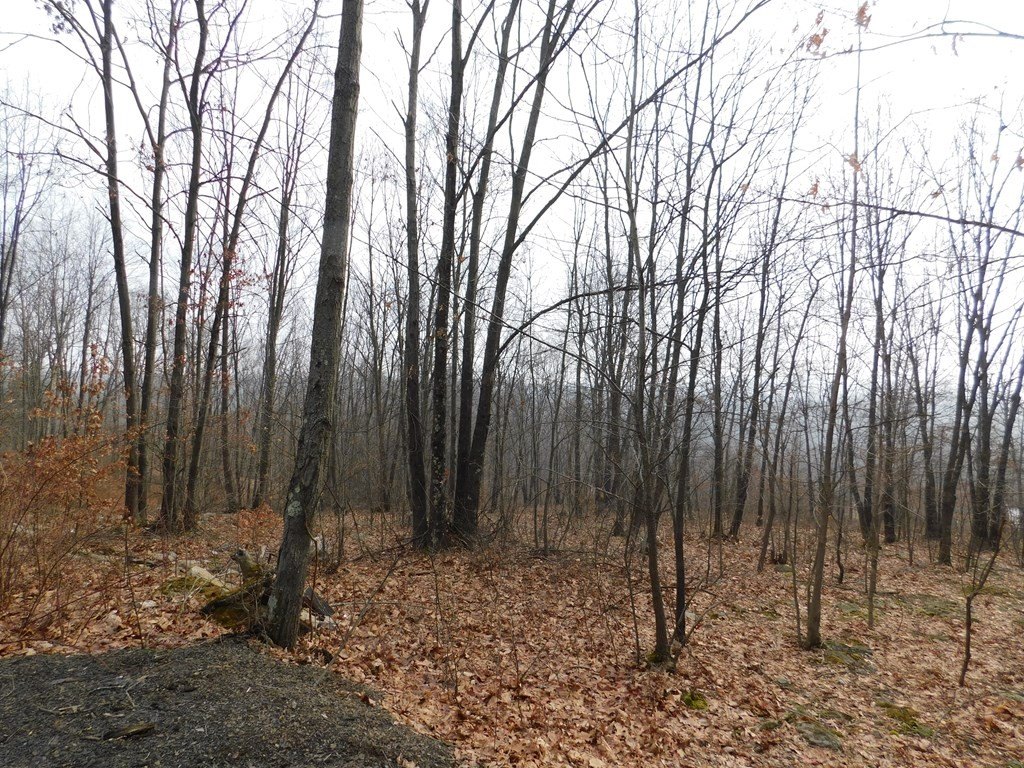 Picture 16