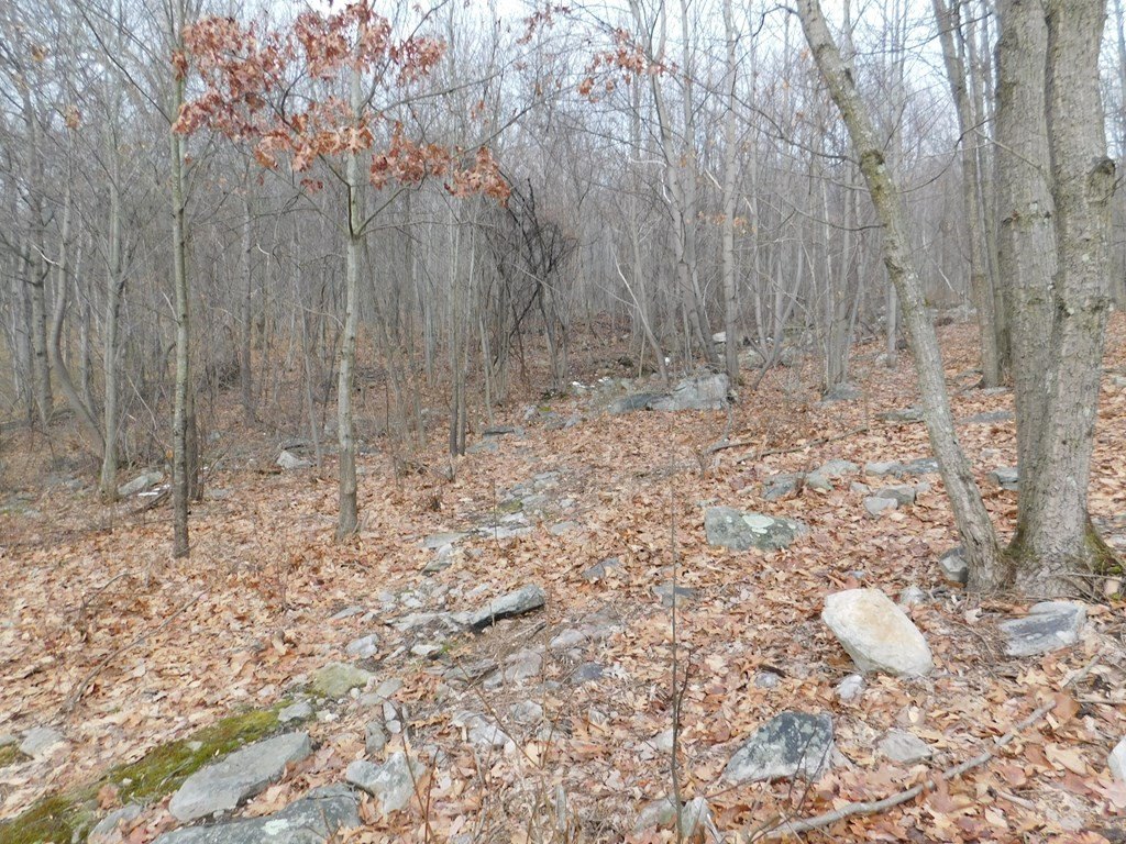 Picture 23