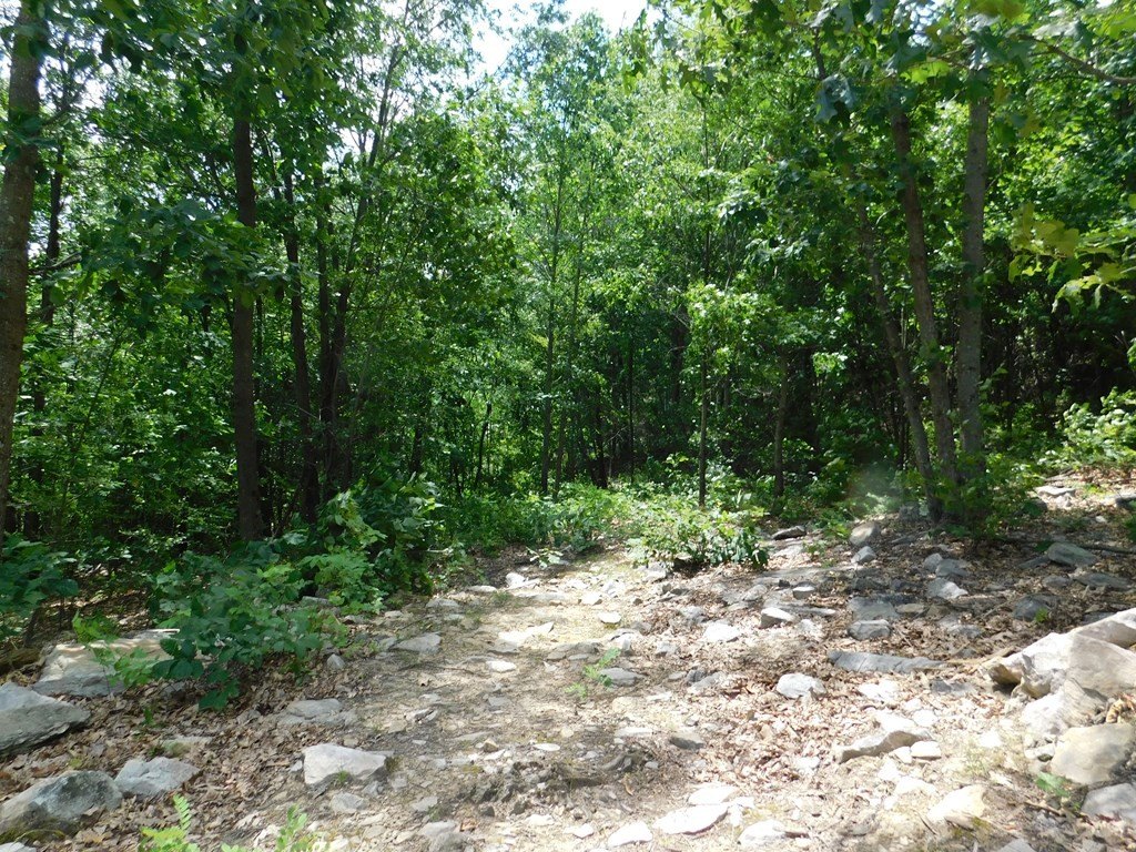 Picture 13