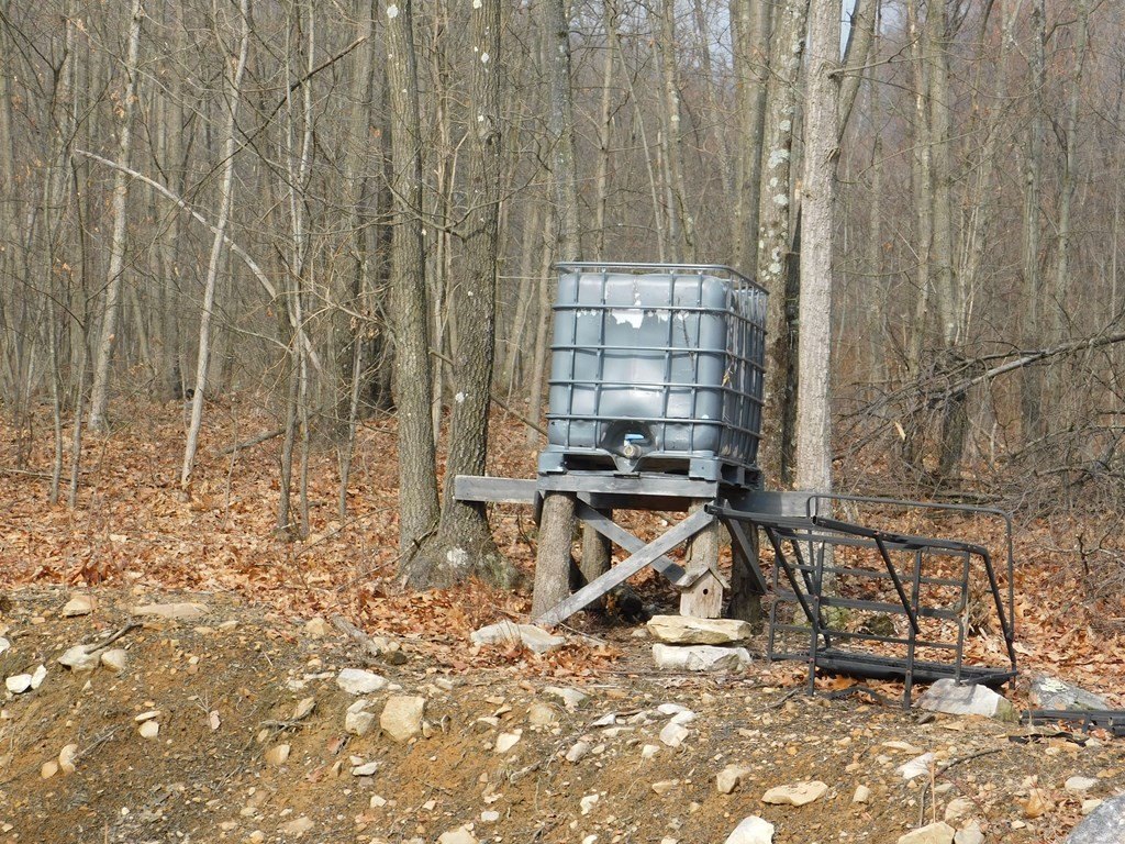 Picture 14