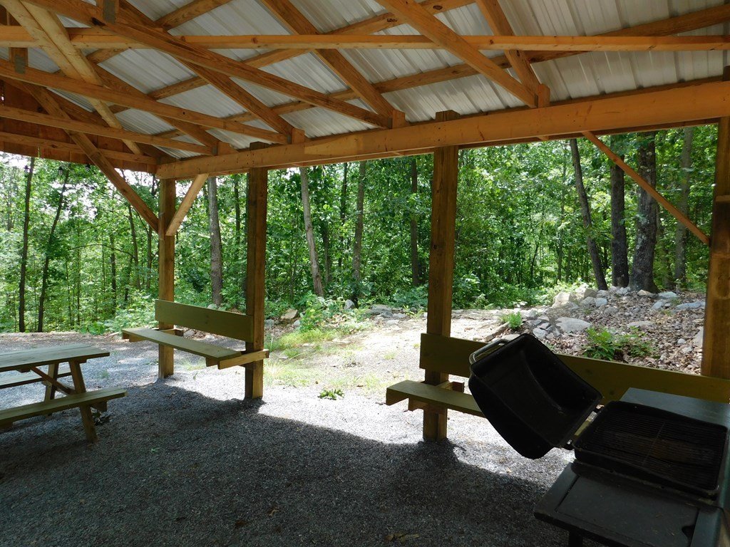 Picture 7