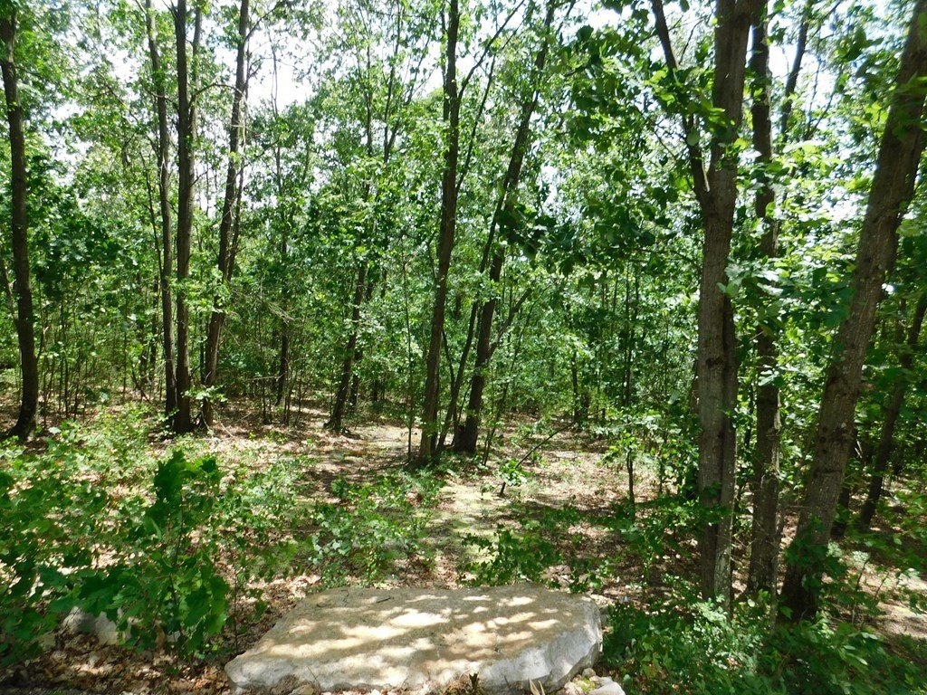 Picture 9