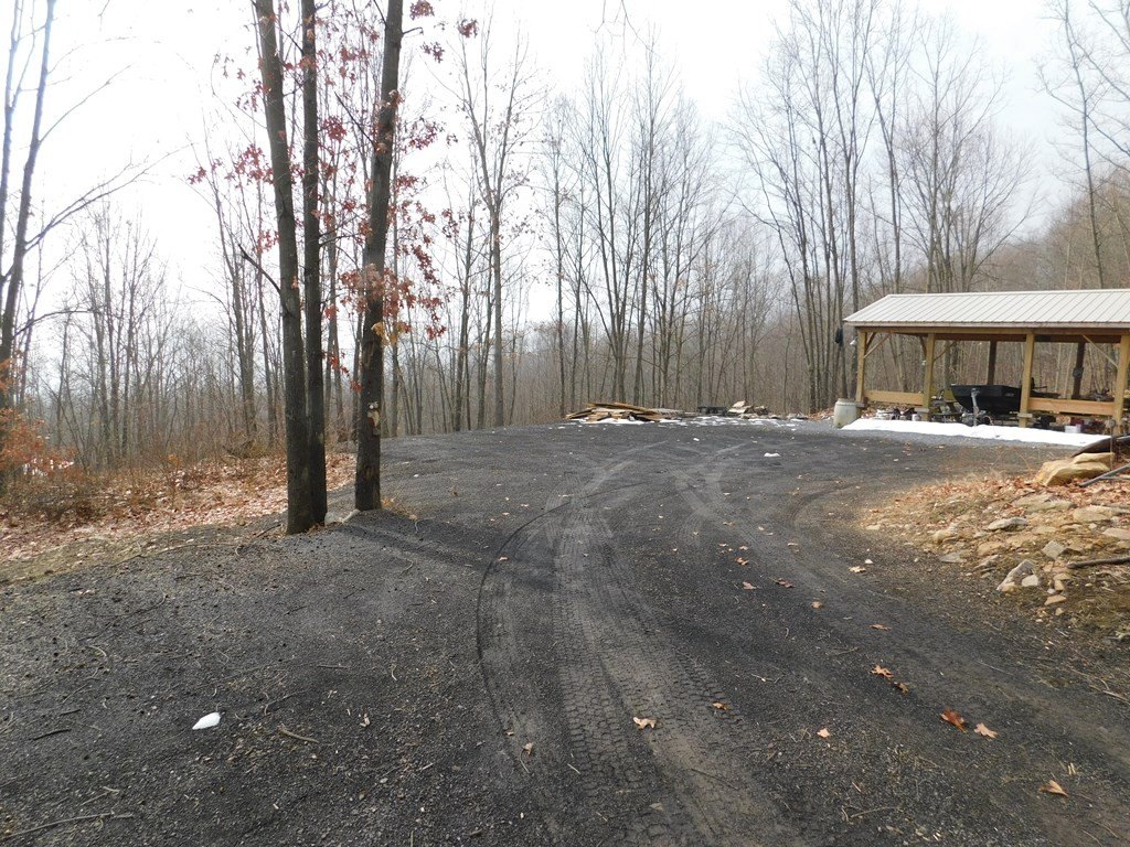 Picture 11