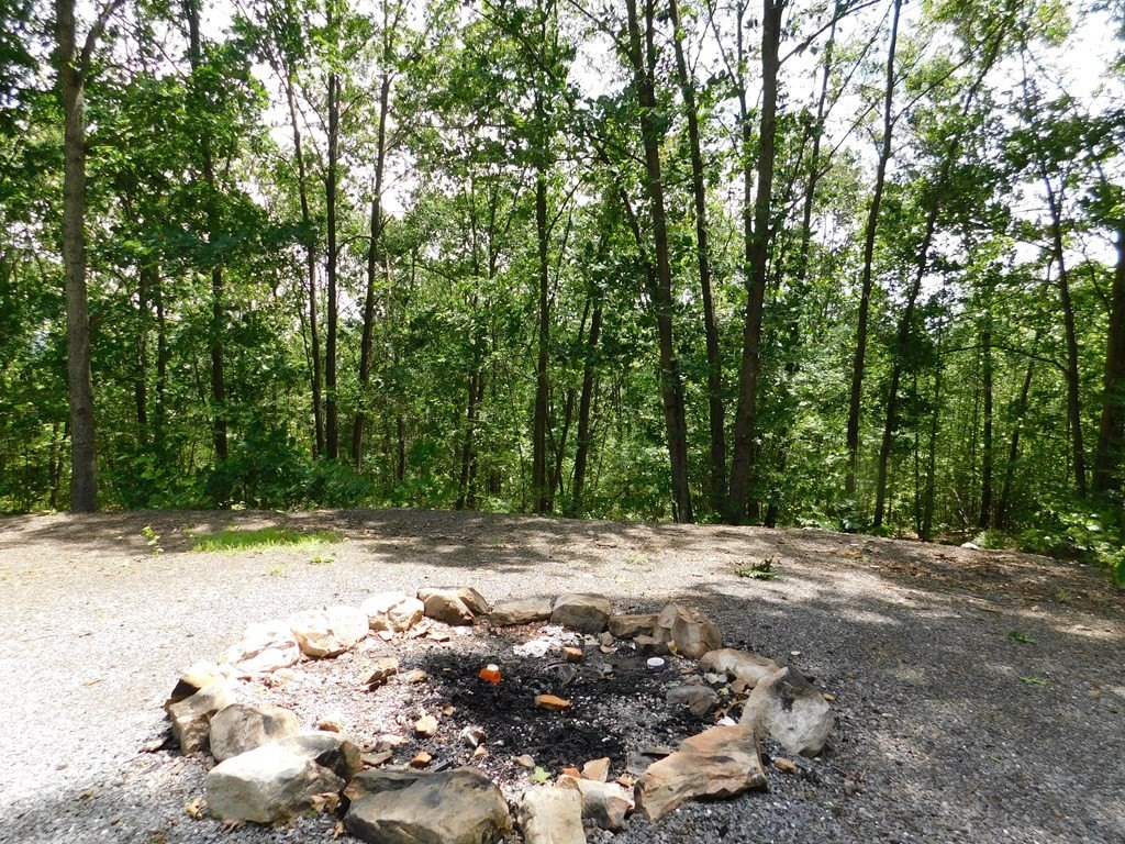 Picture 14
