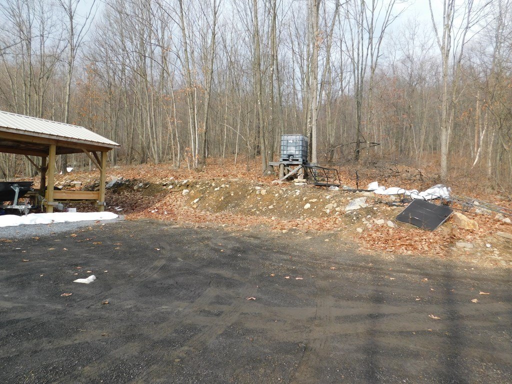 Picture 13