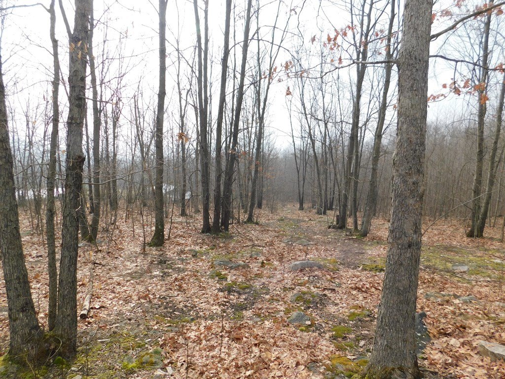 Picture 15