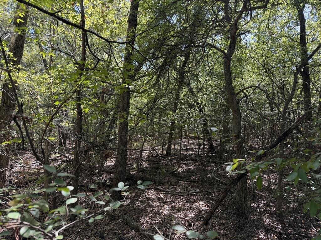 Picture 19