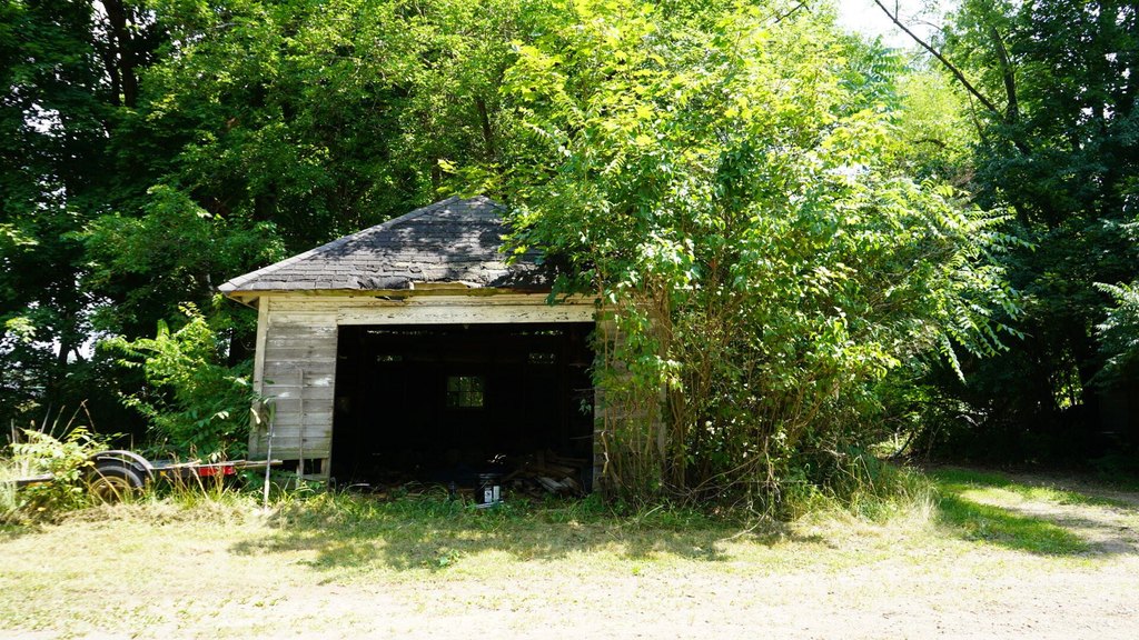 Picture 7