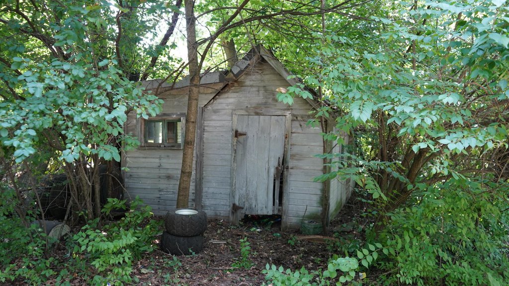 Picture 10