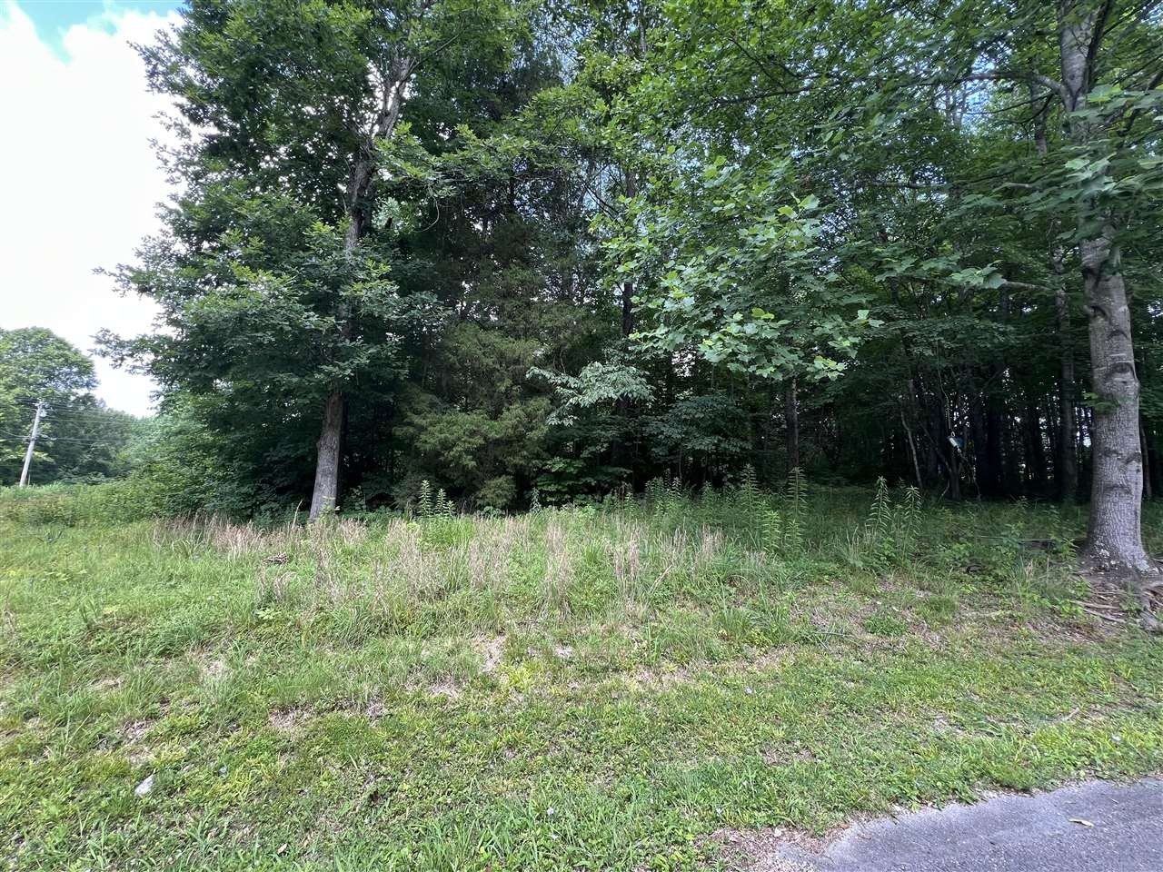 Scottsville Land Near Barren River
