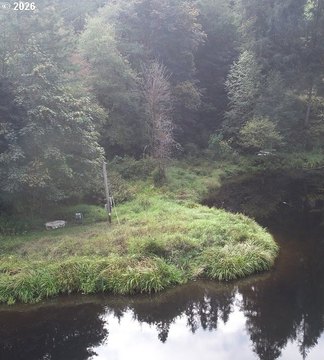 Land, Birkenfeld, OR