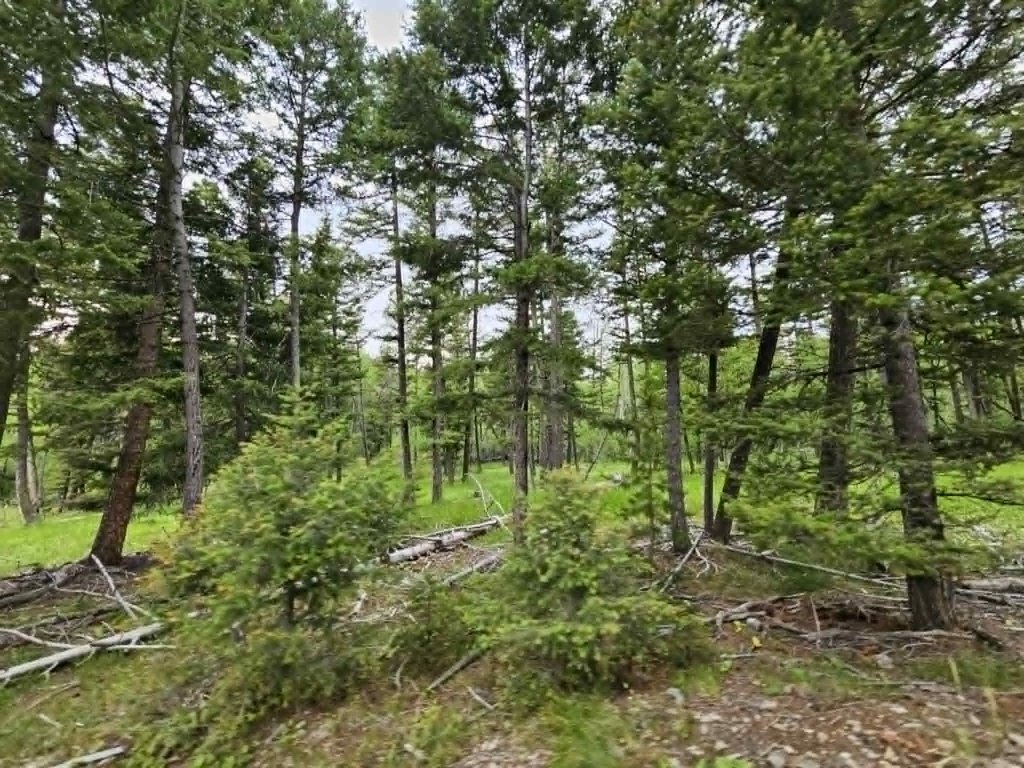 Picture 8