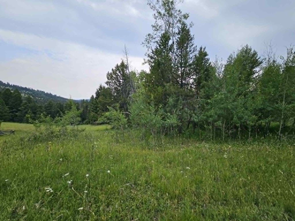 Picture 17
