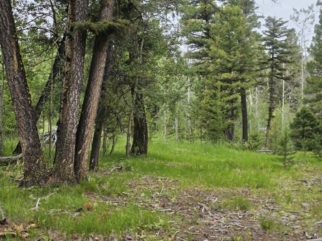 Picture 6