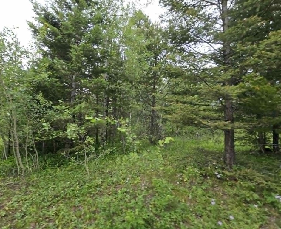 Picture 7
