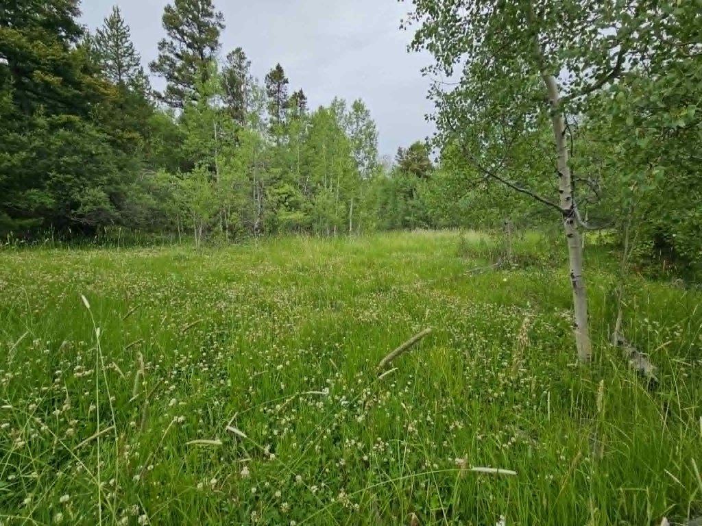 Picture 18