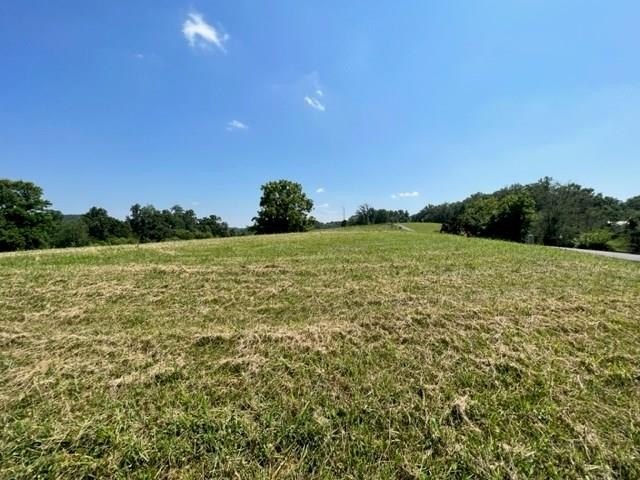 Cleared Land in Holly Bend