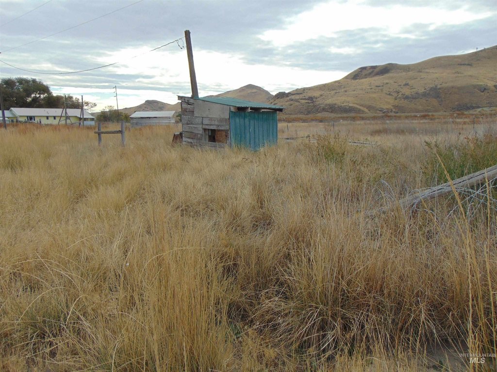 Picture 8