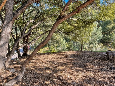 Land, Pine Mountain Club, CA