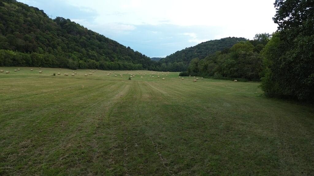 Picture 12
