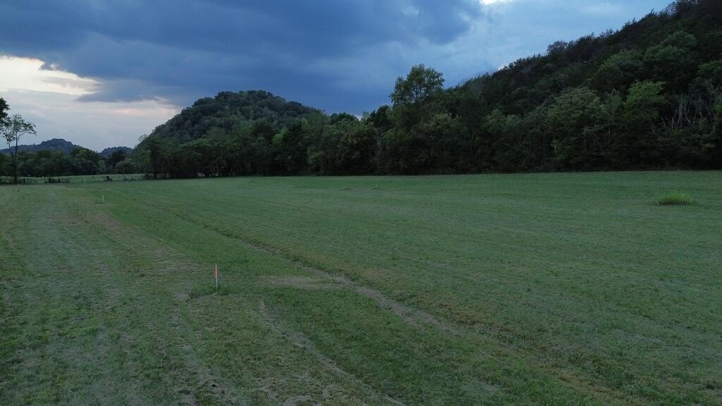 Picture 10