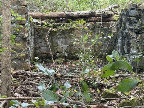 Wooded Hunting Land Tract