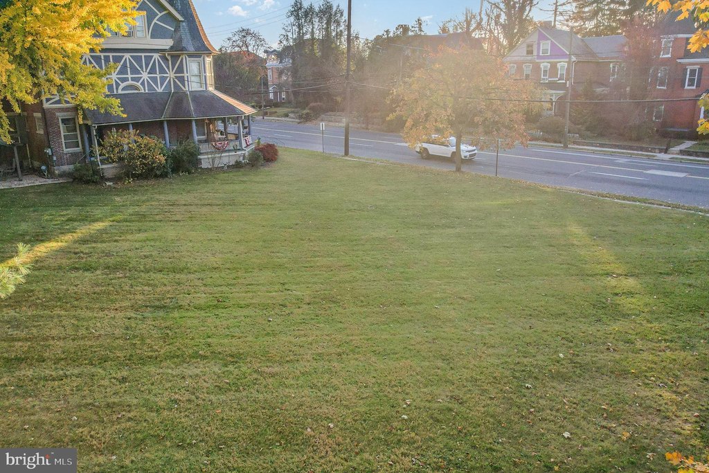 Picture 8