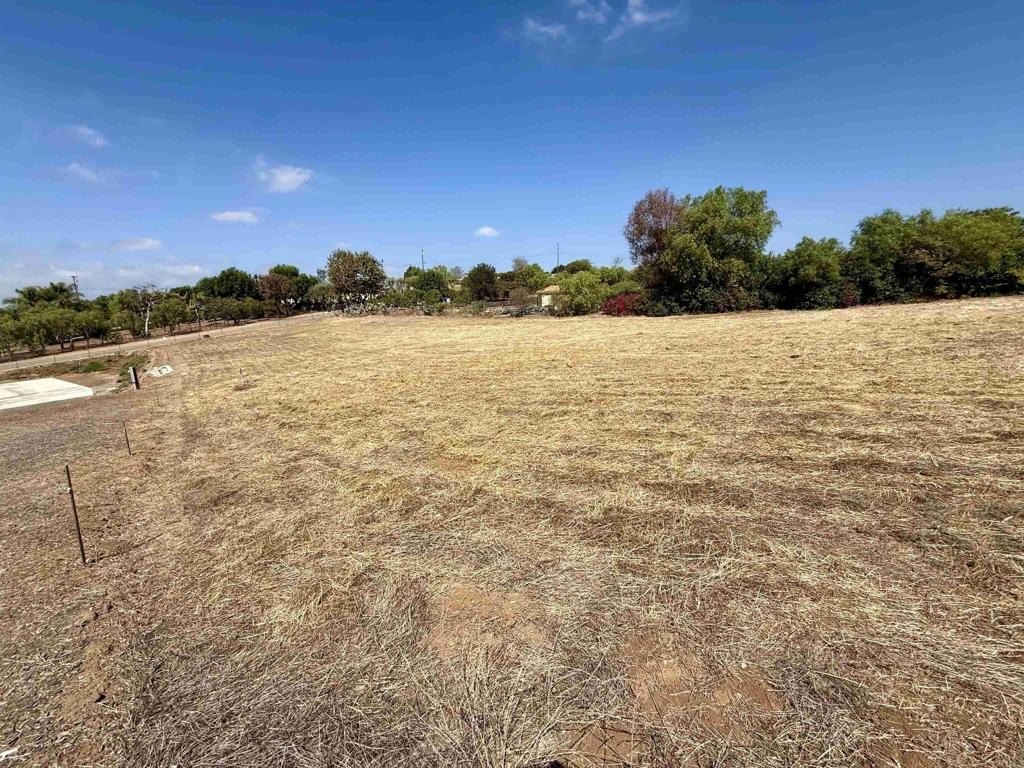 Picture 23