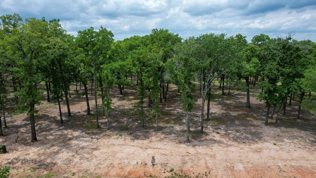 Picture 3
