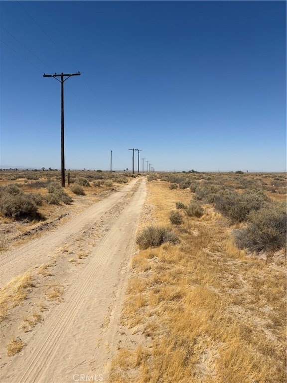 Picture 6