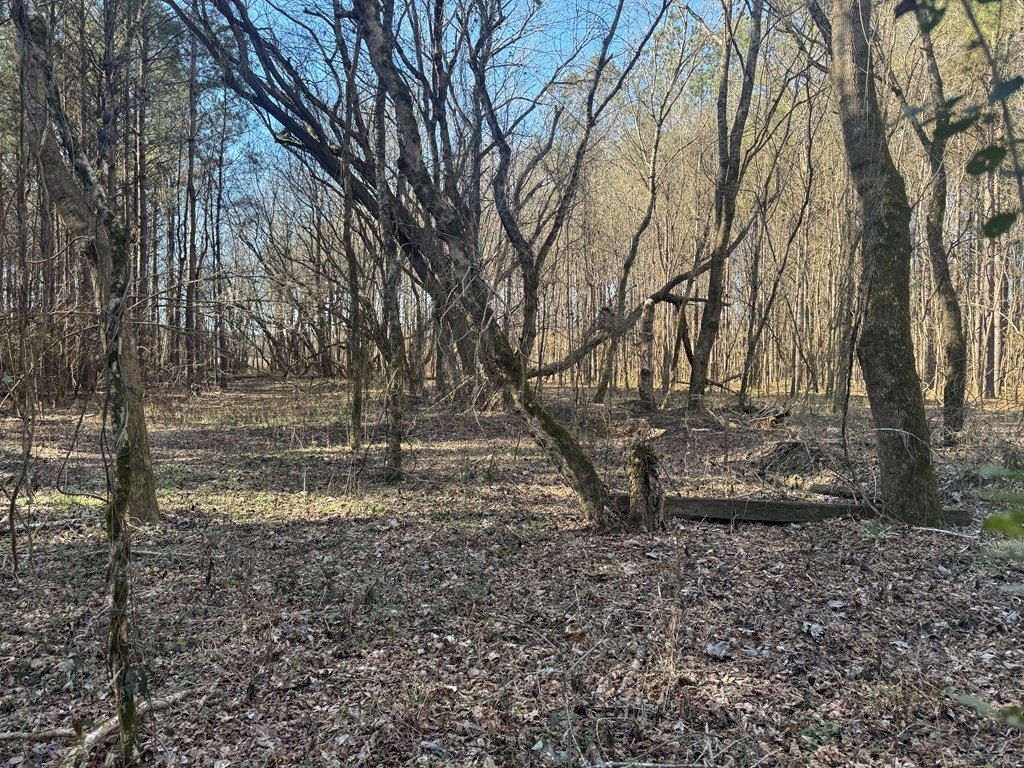 Picture 12