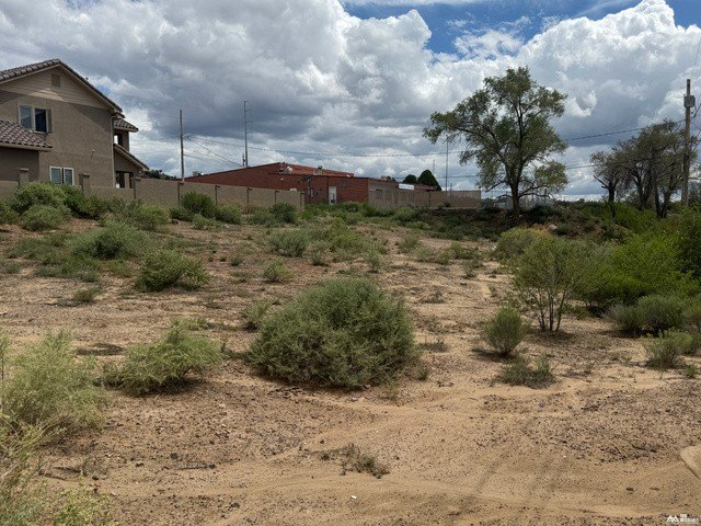 Picture 3