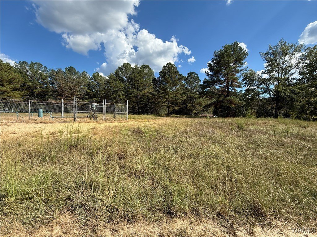 Land in Brookwood, Alabama