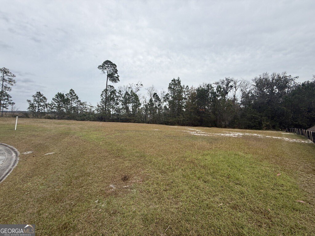 Picture 3