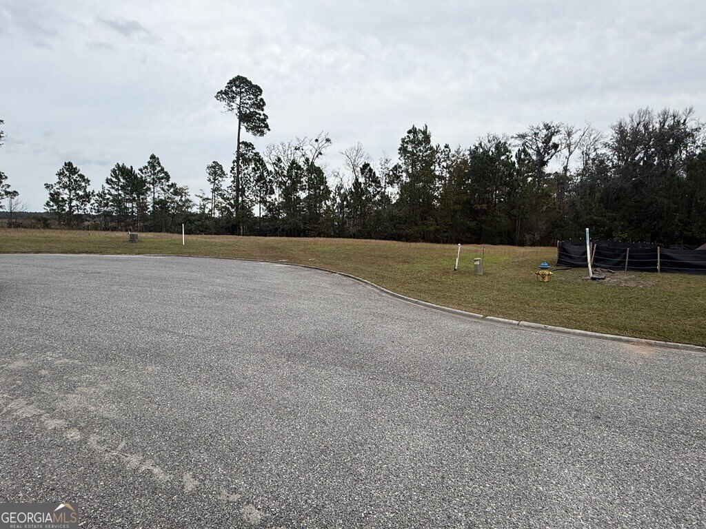 Picture 5