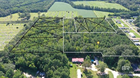 Wooded Lot Near Atmore, AL