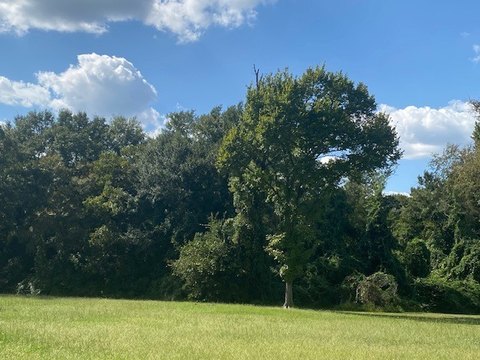 Multi-Family Development Land