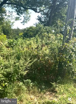 Expansive Land Parcel in Williamstown