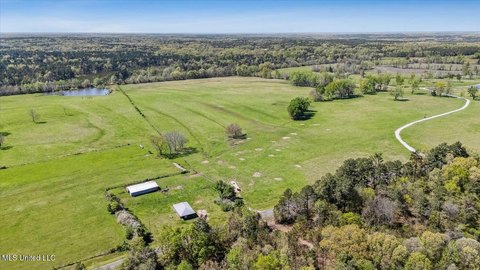62 Acre Farm in Holly Springs