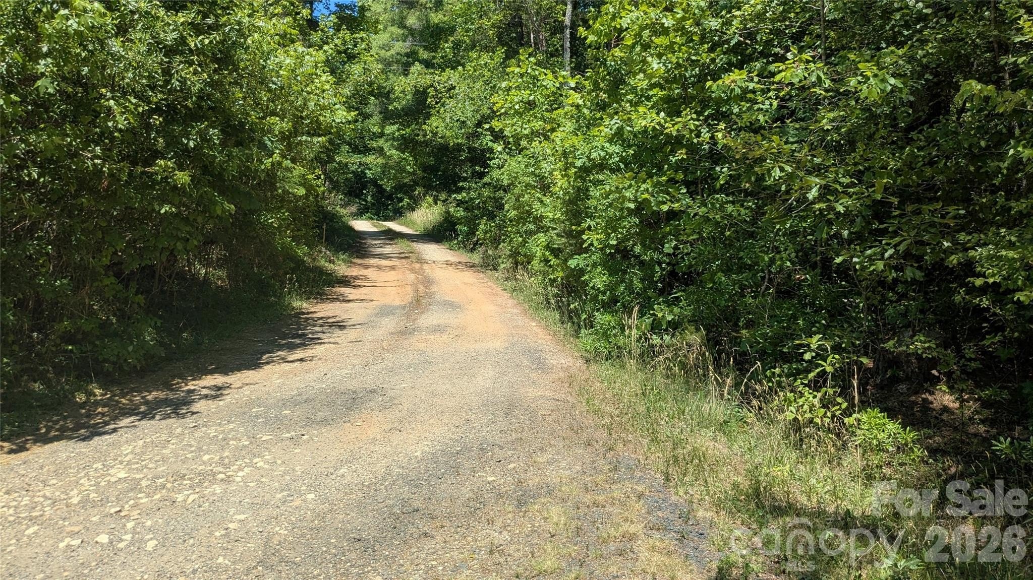 Wooded Lot Ready For Home
