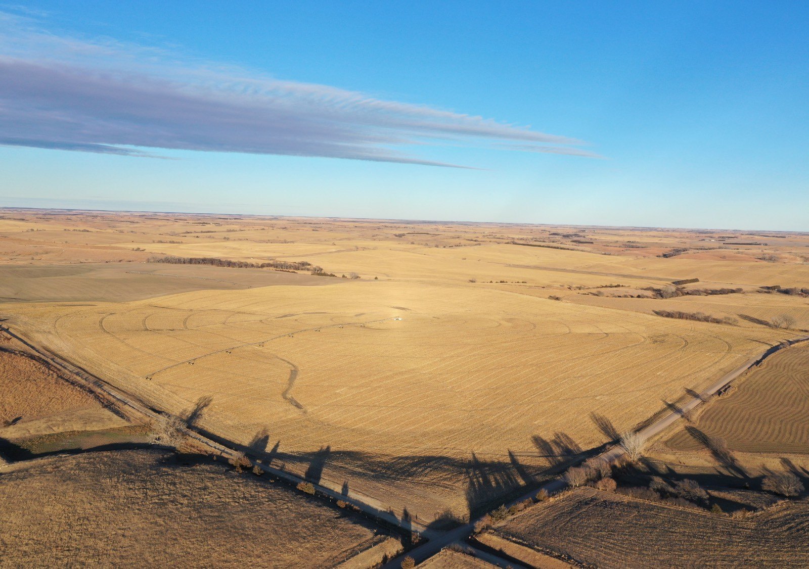 Irrigated Farmland Near Litchfield, Nebraska