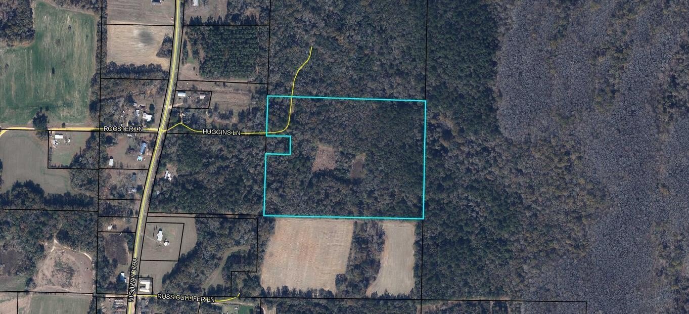 Hunting Land in Westville, Florida