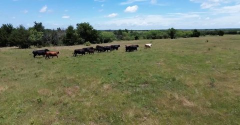 Agricultural Land Tract with Utility Access