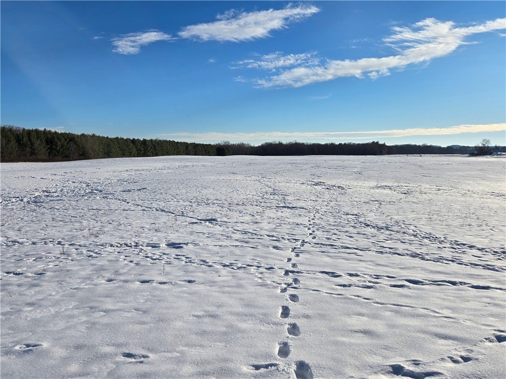 20.05 Acres Near Wheeler, WI