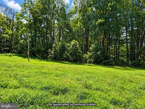 Land, PARSONS, WV